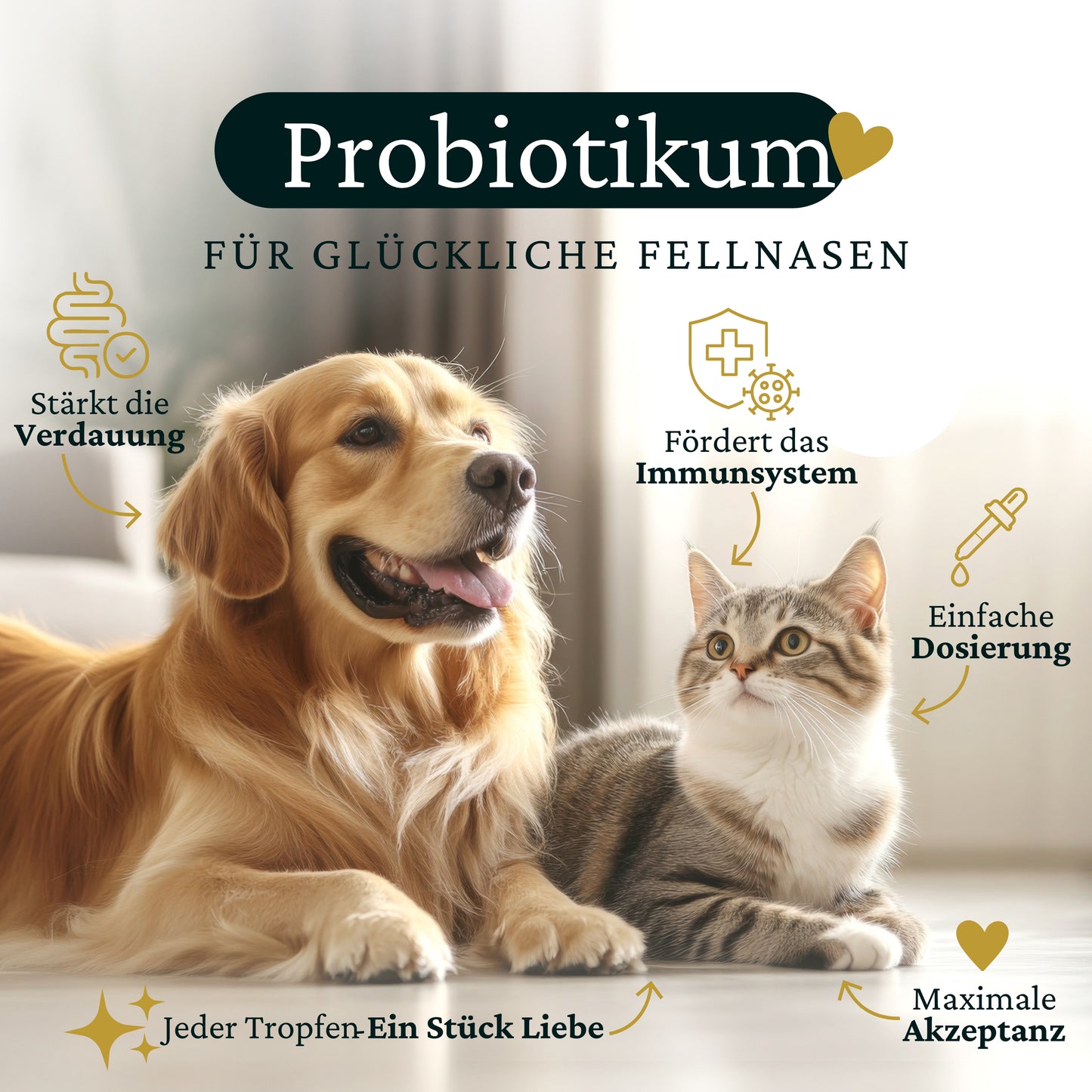 Premium Bio Probiotika für Hunde & Katzen